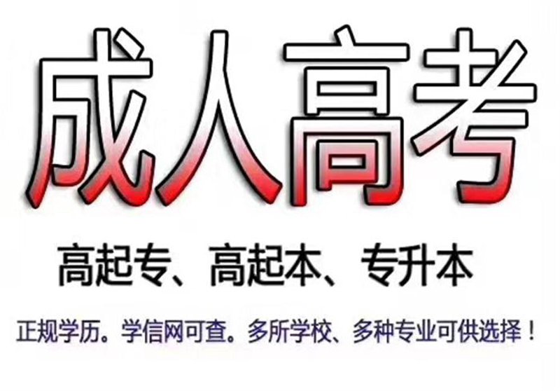 成都锦程职业培训中心的吕菲老师:实战派名师,技能提升专家